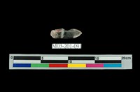 藏品(水晶)的圖片